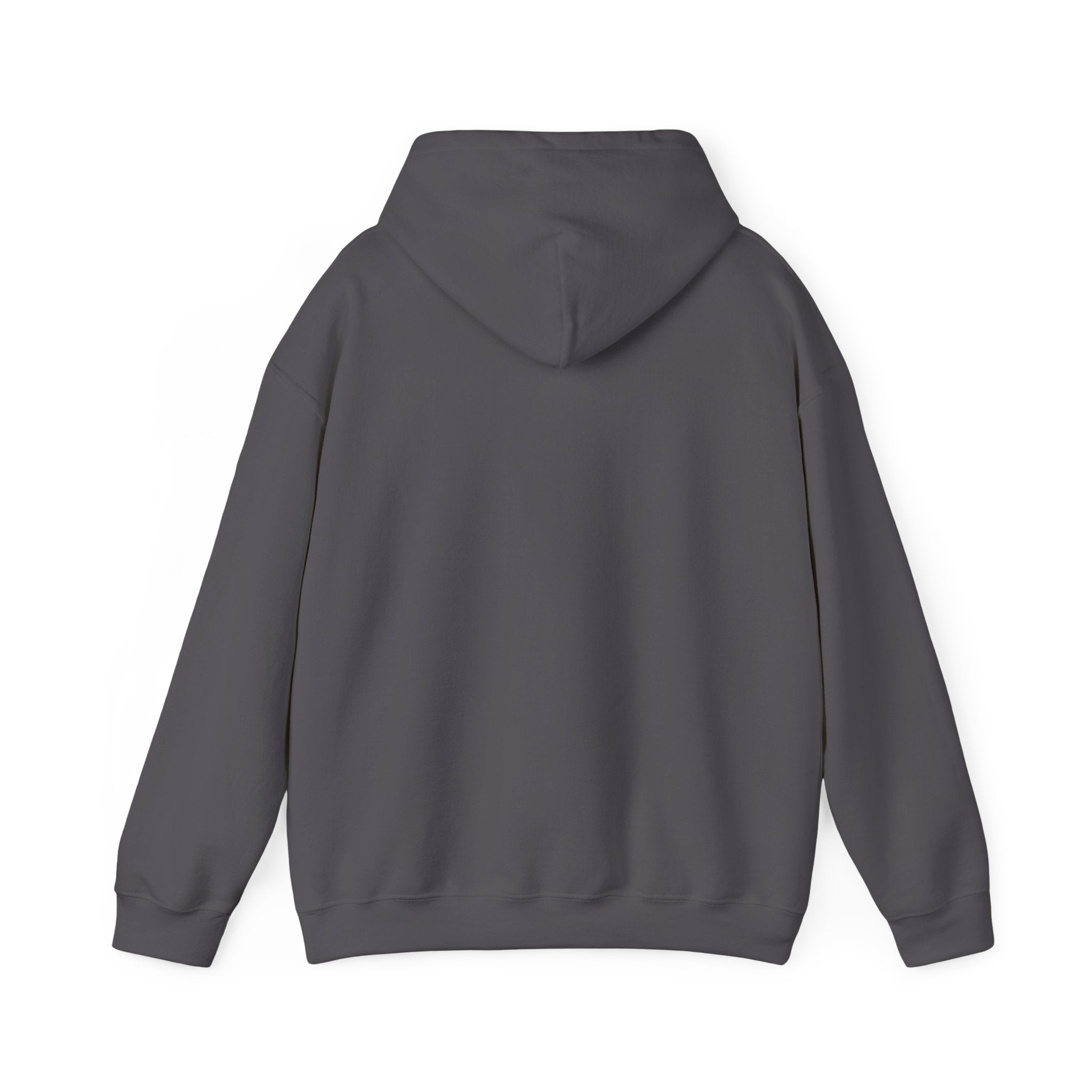 SUDDENLY Album Cover Hoodie